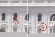 Viral video shows mysterious objects being tossed from White House window