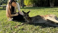 UK PhD student Laura Philips reveals the Australian slang that confuses her in social media post to TikTok