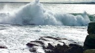 Your Photos: A summer in the wind