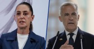 Sheinbaum y Mark Carney se reúnen en CDMX, sin Trump, para hablar del T