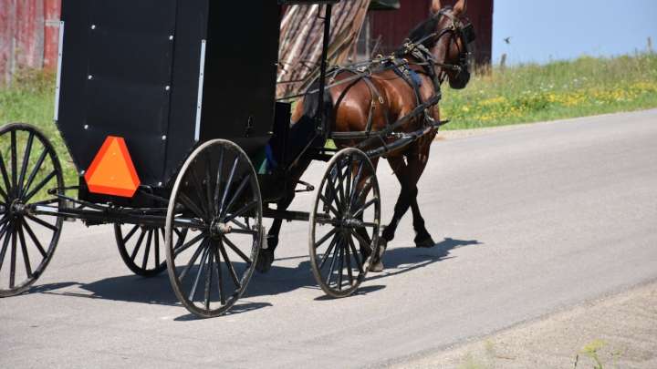 Two children killed after car hits horse and buggy in central Pa.