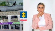 Fiscalía imputó dos delitos a Milagros del Carmen Sarmiento, gerente jurídica de La Previsora