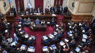 Límites a los DNU de Milei: Fernández Sagasti votó a favor y Suarez y Juri se ausentaron