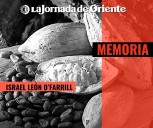 ¿El origen del cacao?