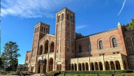 Entire American University System Officially Designated A Terrorist Organization