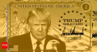 US Gold Card: After H-1B visa fee hike, Trump's new card draws sharp rise in applicants chasing American dream