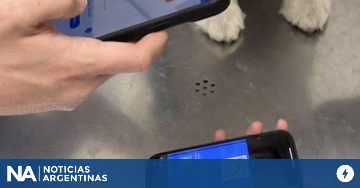 Digitalizan la libreta sanitaria para mascotas en la Argentina