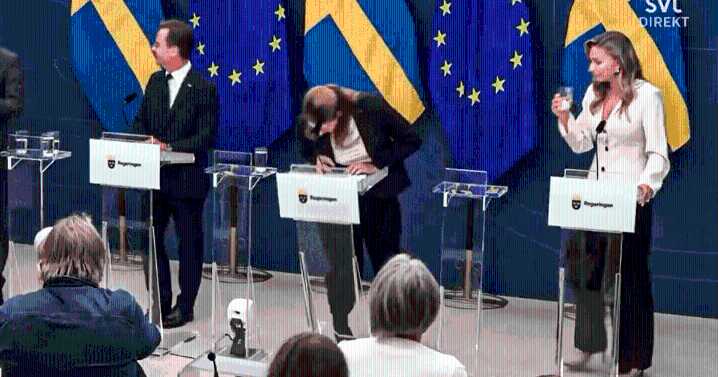 Elisabet Lann, ministra de Salud de Suecia, se desmayó en conferencia de prensa cuando era presentada al cargo