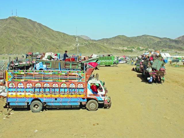 UN halts Afghan returnee aid
