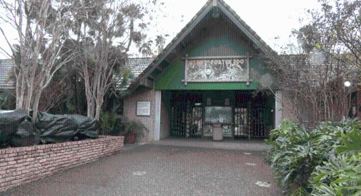 Discount days at Gladys Porter Zoo for Brownsville locals