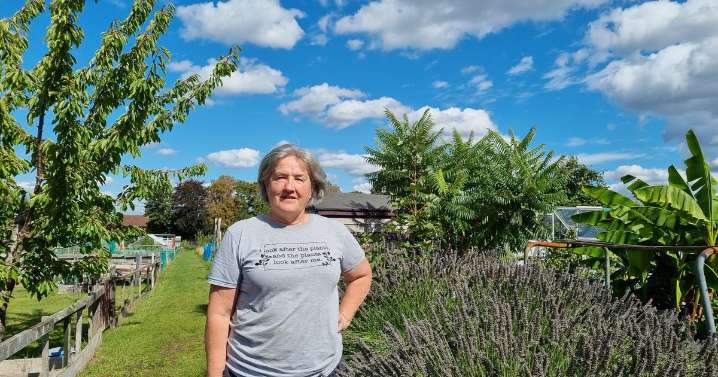 Elderly South London couple 'devastated' as apple trees cut down at allotment by council jobsworth