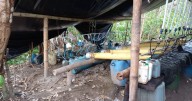 Los 'temidos' corredores del narcotráfico que se disputan las disidencias de las Farc en Guaviare