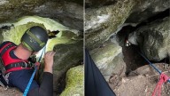 Tennessee Dog Spends Shocking 3 Days Stuck In Cave With Bear Before Help Arrives