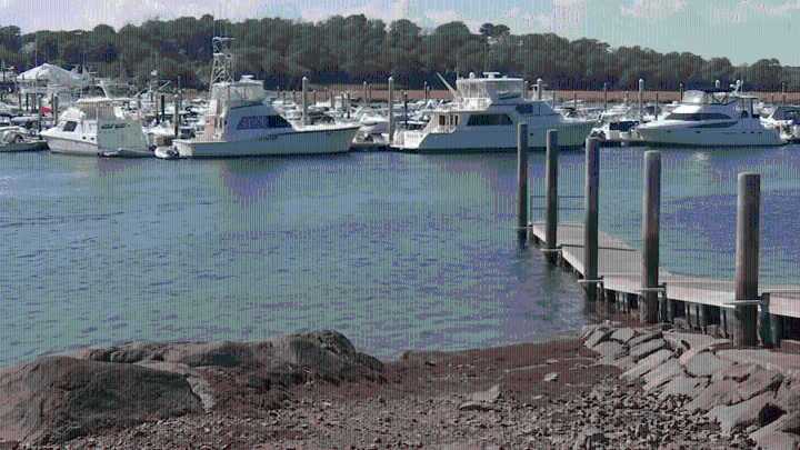 With sky high housing prices, is living on a boat an option?
