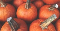 When does fall start in 2025? Key dates and what to expect this autumn