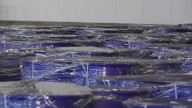 300K kilos of 'meth precurosr chemicals' seized at Port of Houston