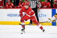 10 questions Red Wings have to tackle in training camp, preseason