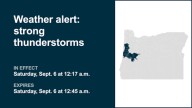 Penny-sized hail forecast with thunderstorms to hit Oregon Saturday – gusts up to 40 mph