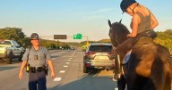 Horse rescued from I-93 in Massachusetts, after it ran away from rider