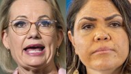 Federal Politics 
                                              Comments
                                            
                                              Premium
                        