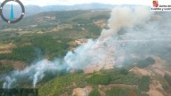 Un nuevo incendio en Berlanga amenaza al Bierzo