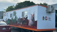 SEMA estima cerrar el año con más de 1,500 esterilizaciones de mascotas