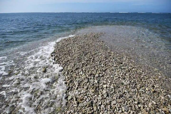 Construcción de la escollera sur causaría pérdida del arrecife La Gallega: activistas