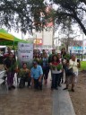 Realiza Monterrey recorrido de arbolado en la Alameda