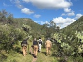 Realizan autoridades estatales búsqueda de personas en vida y forense en El Fuerte y Malpaso