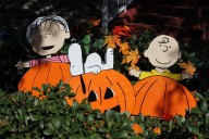 Pumpkin patches and fall festivals in Miami