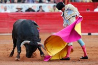 Prohibición de coleos, pelea de gallos y más: ¿existe un punto medio entre lo cultural y la ley?