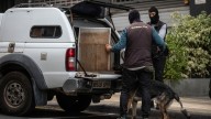 A prisión 18 de los 28 investigados en una de las mayores operaciones contra el narcotráfico de Tenerife