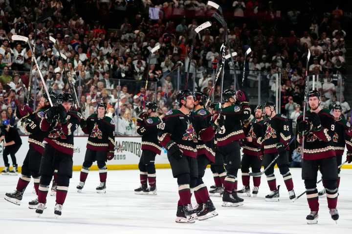 Group aims to bring hockey back to Arizona