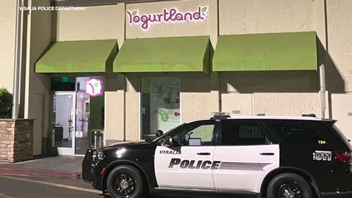 Two brothers arrested following robbery inside the Visalia Mall, police say