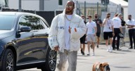 F1 HAMILTON