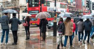 Reduce London's road widths to allow pedestrians more space, City Hall and TfL told