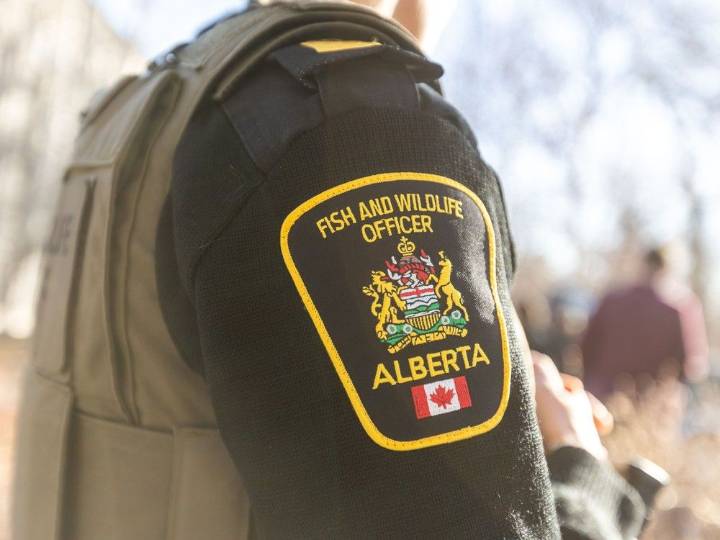 Four Canadians, one American face 43 charges for poaching: FWES