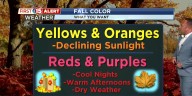 15+: Fall Color Science
