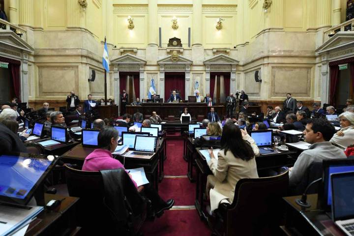 El Senado volteó el veto y restituyó la ley de emergencia en discapacidad