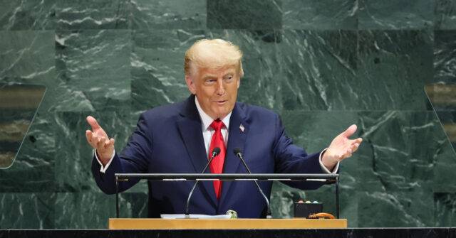 Moscow Upset Trump Described Russia as 'Paper Tiger', Blames Zelensky