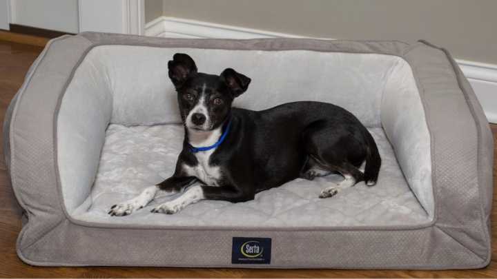 Save 51% on a top-selling Serta pet bed at Wayfair this fall
