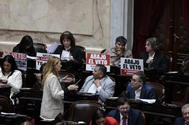 EN VIVO | En un debate caliente y extenso, Diputados trata el financiamiento del Garrahan y las universidades