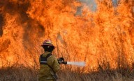 Cómo prevenir incendios forestarles, según especialistas