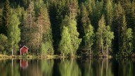 I travelled 1,000km by train to find the secret to Finland's happiness