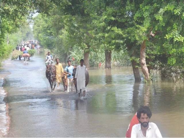 Pakistan stops short of blaming India for floods