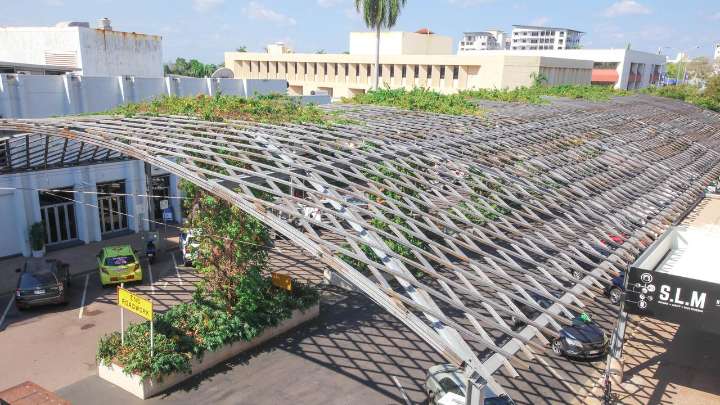 CLP to tear out Cavenagh Street shade structure vines, will not replace them