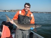 Michigan Maritime Museum to host lecture on lake sturgeon restoration
