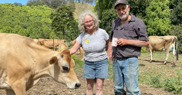 Hinterland cheese maker keeps the family dairy enterprise viable