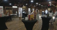Albertville town hall seeks public input on new library design