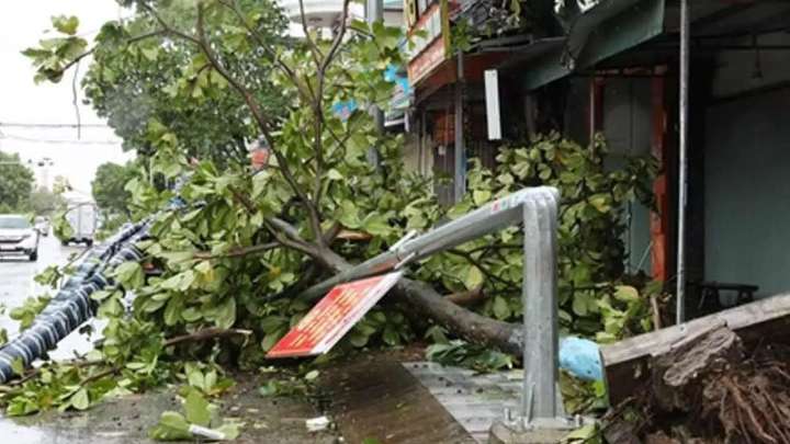 Typhoon Bualoi leaves 19 dead, 88 injured in Vietnam